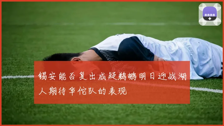 锡安能否复出成疑鹈鹕明日迎战湖人期待华佗队的表现