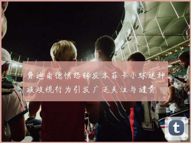 费迪南德愤怒转发本菲卡小球迷种族歧视行为引发广泛关注与谴责