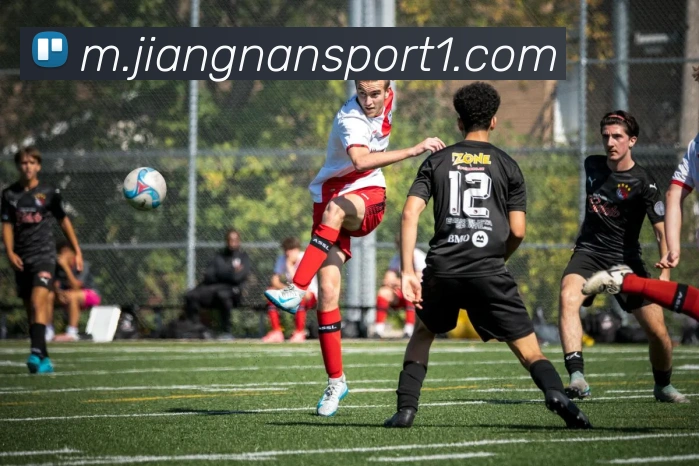 App Interface Preview