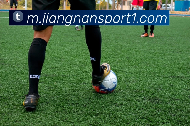 江南体育APP 封面图